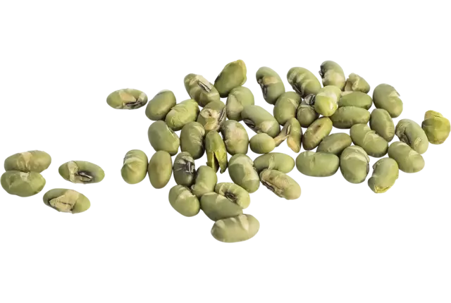 Edamame bonen geroosterd 700gr kist 8 stuks